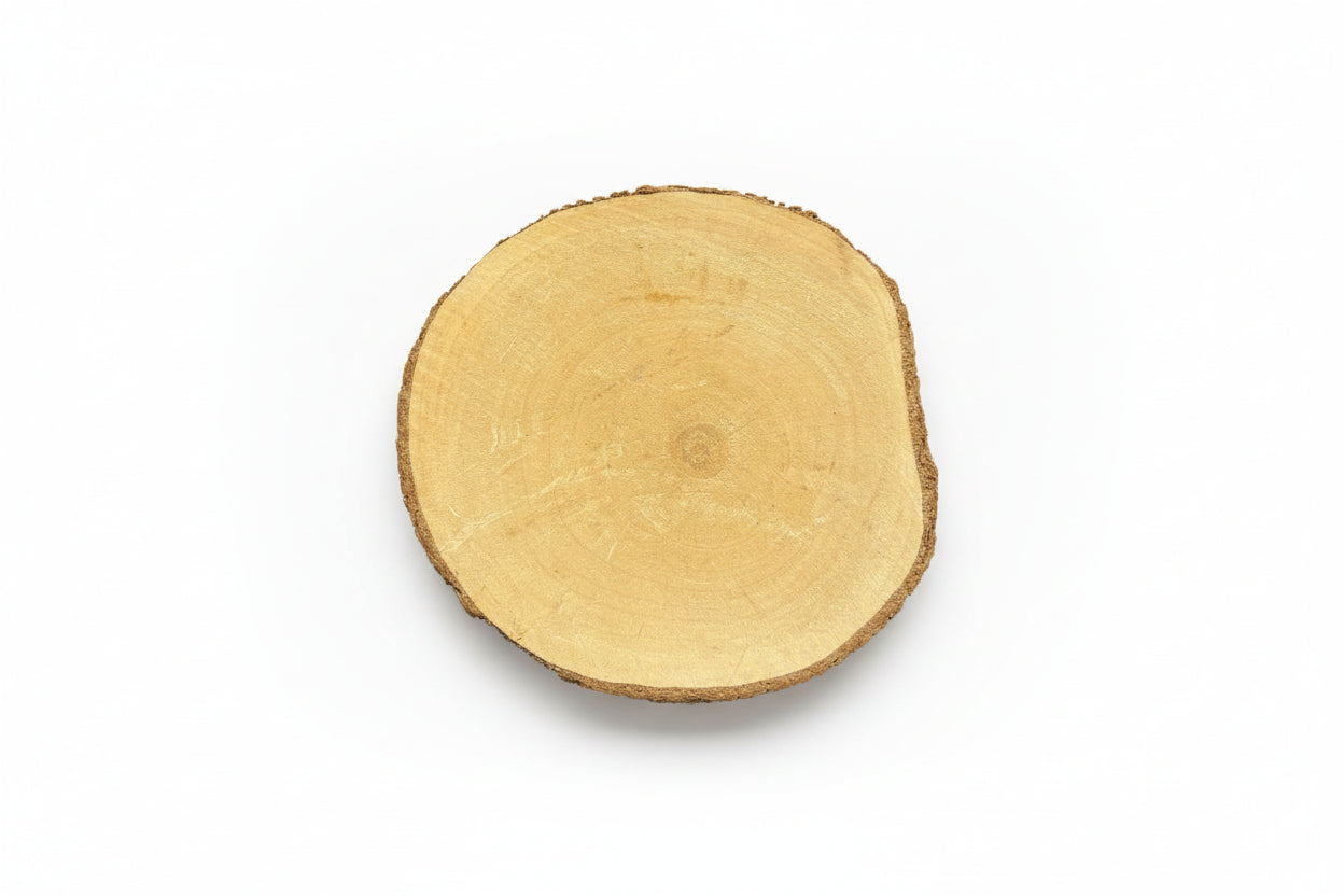 Untersetzer Holzscheibe 10 cm – Text & Grafik Gravur personalisiert